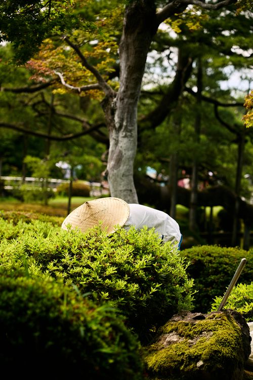 Jardinagem e manutenção de área verde